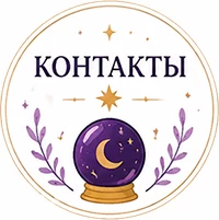 Контакты